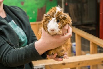 The Art Farm in the City 17 Event Spaces Childrens Classes For Kids Upper East Side Yorkville