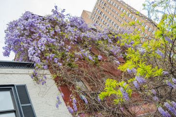 The Art Farm in the City 3 Event Spaces Childrens Classes For Kids Upper East Side Yorkville