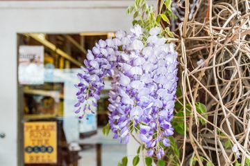 The Art Farm in the City 4 Event Spaces Childrens Classes For Kids Upper East Side Yorkville