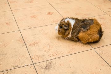 The Art Farm in the City 18 Event Spaces Childrens Classes For Kids Upper East Side Yorkville