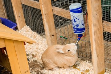 The Art Farm in the City 19 Event Spaces Childrens Classes For Kids Upper East Side Yorkville