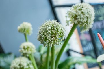 Gatherings Floral Design 4 Florists Kips Bay Tudor City
