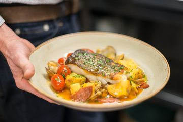 Elan 4 American Flatiron