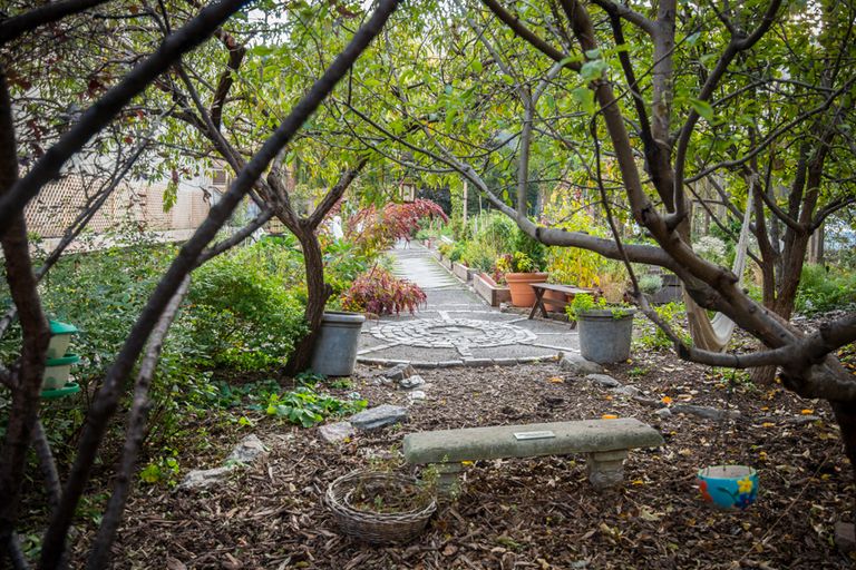 Rodale Pleasant Community Garden 1 Gardens East Harlem El Barrio