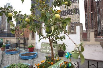 Metro Baptist Church 17 Churches Hudson Yards Hells Kitchen