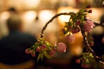 Sakagura 6 Japanese Midtown Turtle Bay Midtown East