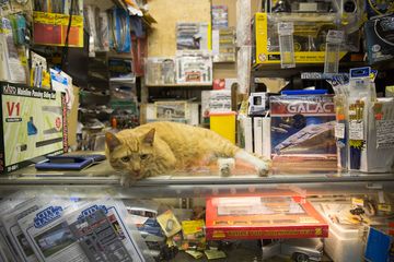 The Red Caboose Hobby Shop 14 Collectibles Arts and Crafts Midtown West
