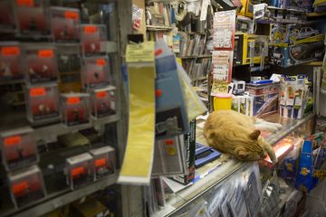 The Red Caboose Hobby Shop 16 Collectibles Arts and Crafts Midtown West