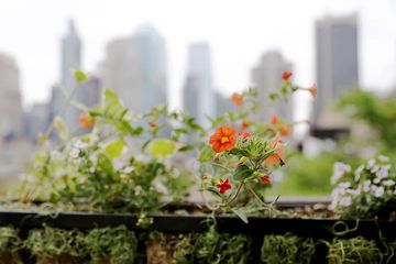 Maravel Arts Center 4 Theaters Event Spaces Hells Kitchen Midtown West