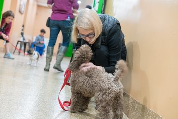 Amanda Gagnon Dog Training Inc. 9 Pet Training Doggy Daycares Upper West Side