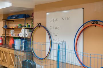 Amanda Gagnon Dog Training Inc. 13 Pet Training Doggy Daycares Upper West Side