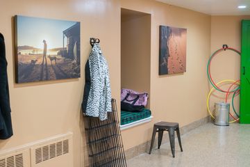 Amanda Gagnon Dog Training Inc. 14 Pet Training Doggy Daycares Upper West Side