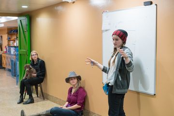 Amanda Gagnon Dog Training Inc. 2 Pet Training Doggy Daycares Upper West Side