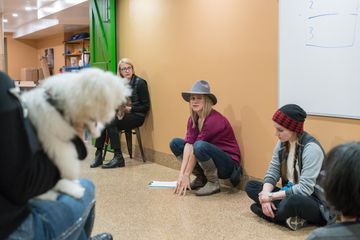 Amanda Gagnon Dog Training Inc. 3 Pet Training Doggy Daycares Upper West Side