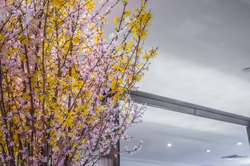 Il Mulino 4 Italian Midtown East Midtown