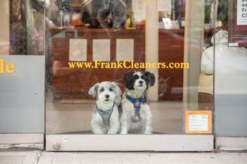 Frank's Cleaners & Tailors of New York 4 Dry Cleaners Tailors Upper East Side Uptown East