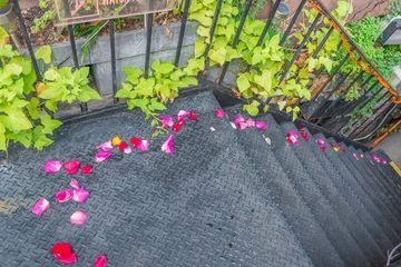 Shalel Lounge 7 Mediterranean Lounges Late Night Eats Midtown West Lincoln Square Upper West Side