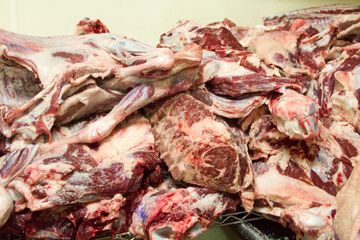 Fischer Bros & Leslie 12 American Butchers Kosher Family Owned Upper West Side