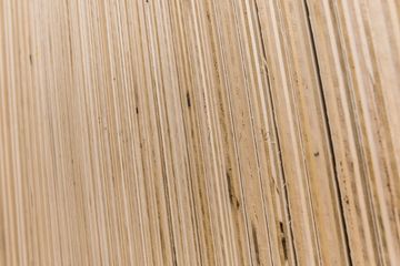 Little Wolf Cabinet Shop 15 Cabinetry Family Owned Yorkville Upper East Side