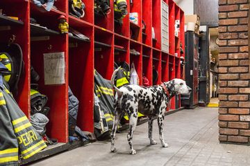 FDNY Engine Company 74 1 Fire Stations Upper West Side