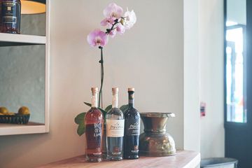 Ulivo 5 Italian Flatiron Tenderloin