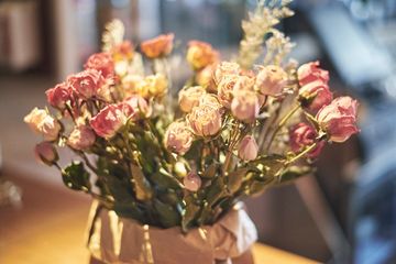 Ulivo 9 Italian Flatiron Tenderloin