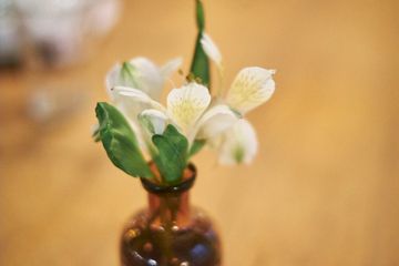 Ulivo 10 Italian Flatiron Tenderloin