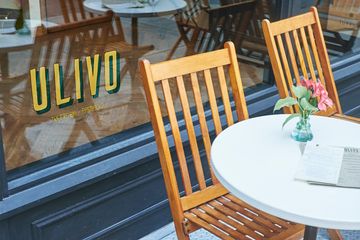 Ulivo 3 Italian Flatiron Tenderloin