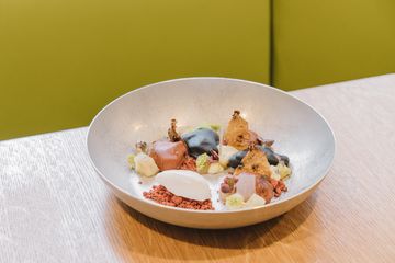 Nur 11 Israeli Gramercy