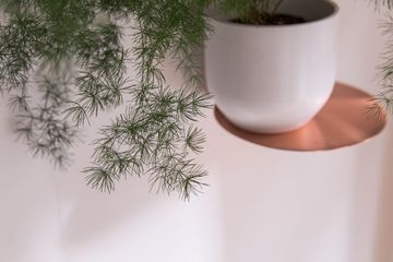 Floating Mountain 15 Tea Shops Upper West Side