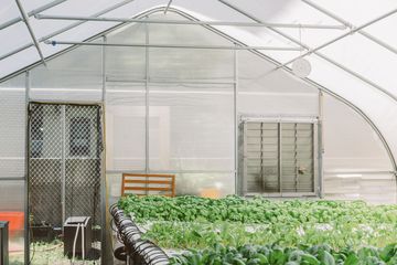 Harlem Grown 20 Gardens Harlem