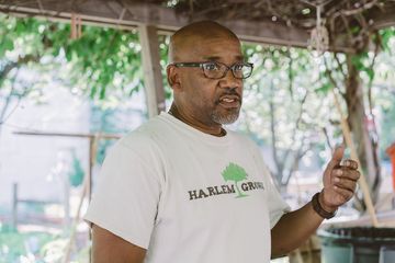 Harlem Grown 21 Gardens Harlem