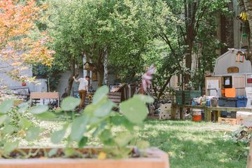 Harlem Grown 2 Gardens Harlem