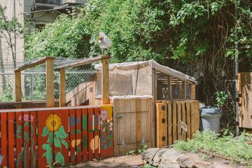 Harlem Grown 9 Gardens Harlem