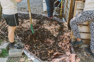 Harlem Grown 11 Gardens Harlem