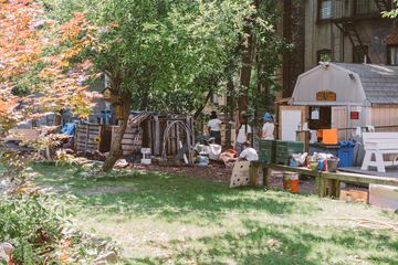 Harlem Grown 12 Gardens Harlem