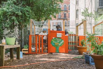 Harlem Grown 14 Gardens Harlem