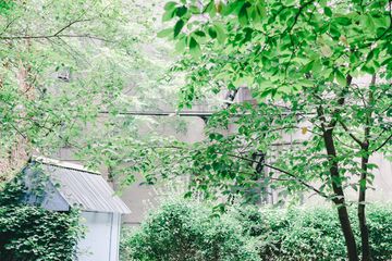 Maggie's Garden 3 Gardens Hamilton Heights Harlem