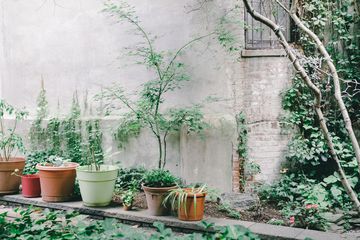 Maggie's Garden 4 Gardens Hamilton Heights Harlem