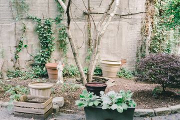 Maggie's Garden 7 Gardens Hamilton Heights Harlem