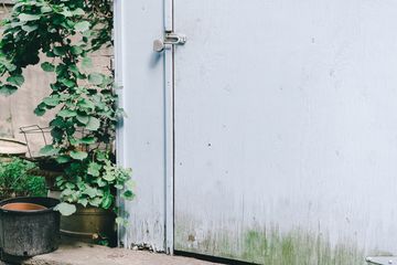 Maggie's Garden 9 Gardens Hamilton Heights Harlem