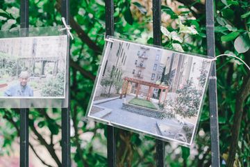 Maggie's Garden 10 Gardens Hamilton Heights Harlem