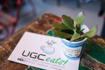 Urban Garden Cafe   LOST GEM 7 Cafes Greek Coffee Shops East Harlem
