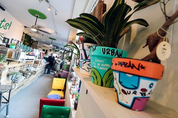 Urban Garden Cafe   LOST GEM 8 Cafes Greek Coffee Shops East Harlem