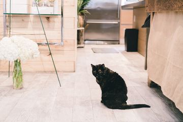 La Fleur d'Harlem 6 Florists Harlem Central Harlem