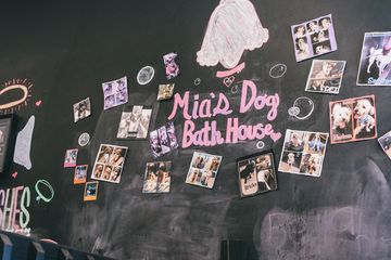 Mia's Bathhouse for Pets 3 Pet Groomers Central Harlem Harlem