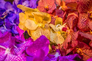 Scott's Flowers 4 Florists Family Owned Tenderloin Garment District Midtown West