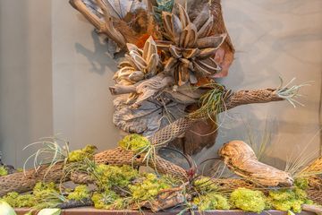 Scott's Flowers 5 Florists Family Owned Tenderloin Garment District Midtown West