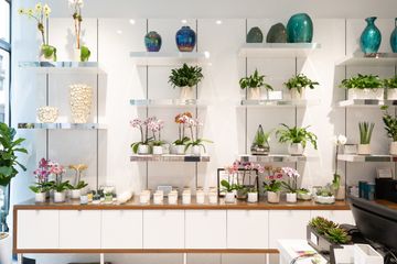 Scott's Flowers 13 Florists Family Owned Tenderloin Garment District Midtown West