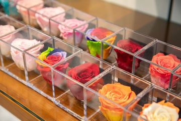 Scott's Flowers 16 Florists Family Owned Tenderloin Garment District Midtown West